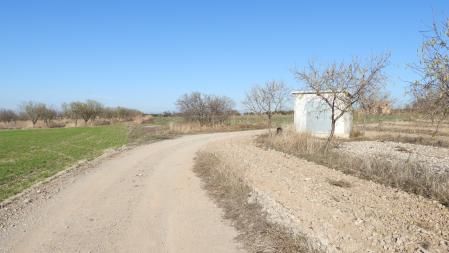 Reto visual: ¿Eres capaz de ver al colirrojo tizón?