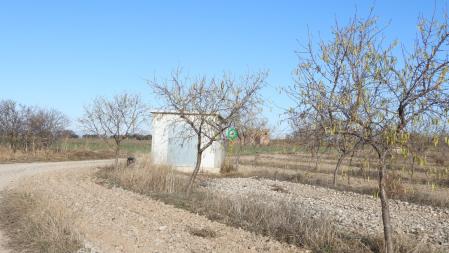 La posición del colirrojo tizón señalizada.