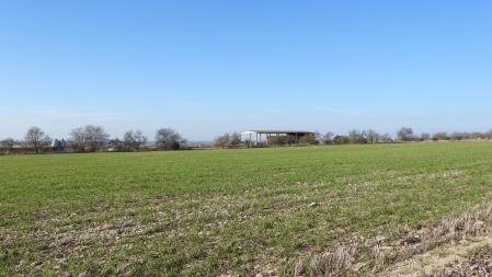 ¿Dónde está el aguilucho?