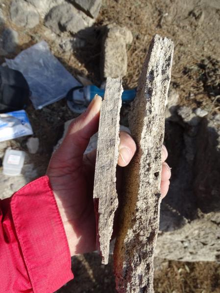 Muestras de carbonato de las llamadas Termas Republicanas de Pompeya&nbsp;