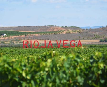 Viñedos de Rioja Vega&nbsp;