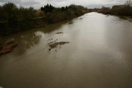 El Ter en Torroella de Montgrí.