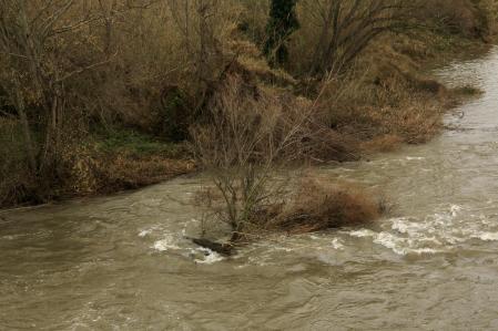 El Ter en Torroella de Montgrí.