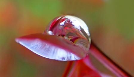 La danza de las gotas de agua de la lluvia.