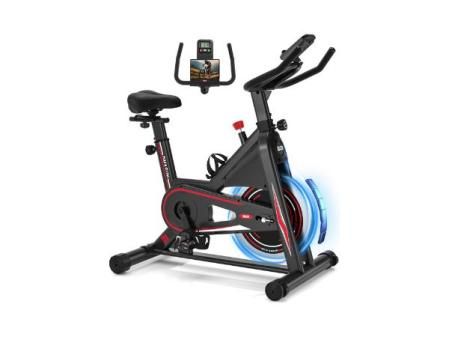 DMASUN Bicicleta Estática en Casa con Resistencia Ajustable, Bicicleta Estatica Silenciosa con Monitor LCD, Cómodo Cojín de Asiento, Capacidad de 160/180 kg, Entrenamiento Aeróbico