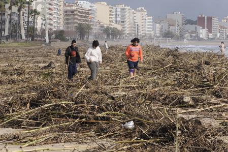 Los restos del temporal llenan la playa de Sant Antoni de Calonge en el Baix Empordà&nbsp;