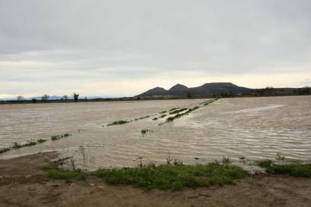 Campos inundados en Pals.