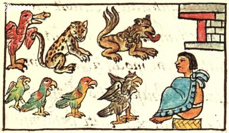 Vivario de Tenochtitlán representado en el 'Códice Florentino'