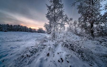 Paisaje de nieve y nieblas visto desde Sant Bartomeu del Grau.