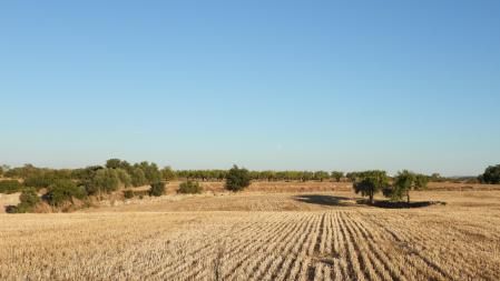 Reto visual: ¿Puedes ver la luna en menos de 30 segundos?