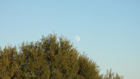 La luna que estamos buscando.