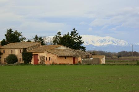 El invierno paisajístico de Fontanilles.