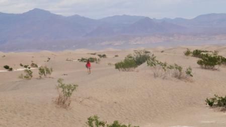 Dunas de Mesquite en el Valle de la Muerte