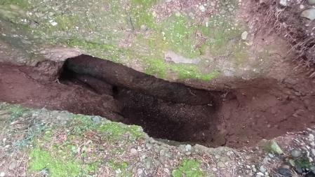 Avenc de l'Alzina Teresa.