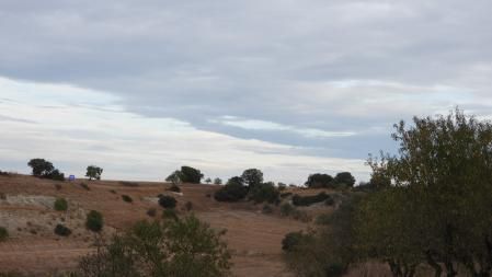 Solución al Reto visual del milano real.