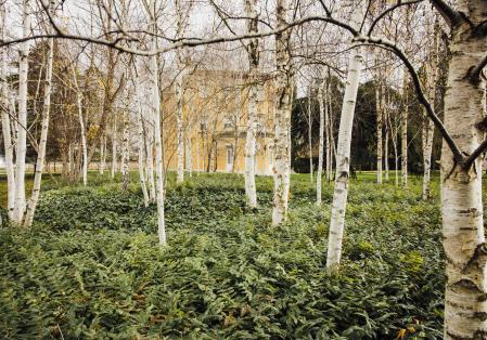 “Los árboles me protegen”, asegura. Ha plantado medio millón de robles, 60.000 alcornoques y 10.000 nogales.
