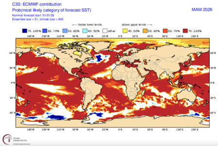 Anomalías de la temperatura de la superficie del mar según el modelo del ECMWF para el período marzo-abril-mayo del 2026.&nbsp;