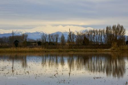Reflejos en los campos inundados de Torroella de Montgrí.