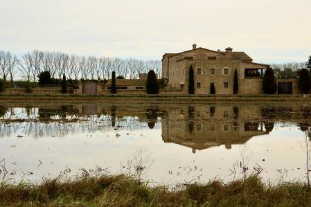 Reflejos en los campos inundados de Torroella de Montgrí.