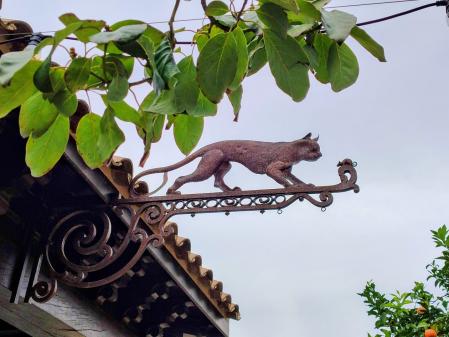 Gato y ratón en el recinto de la Font del Gat.