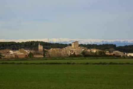 Paisaje de invierno en Palau-sator.