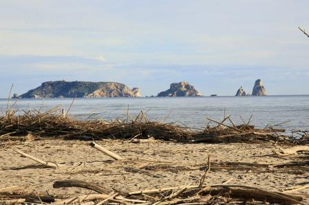 Restos arrastrados por la mala mar en la playa de la Fonollera.
