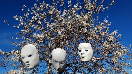 Carnaval y almendros floridos.