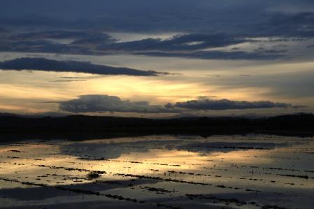 Juego de espejos en el Estany de Pals.