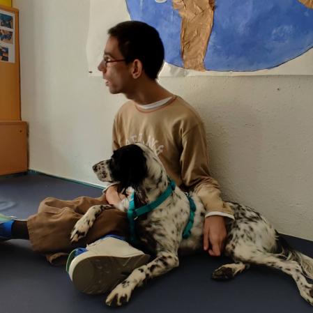 Fundación Sentido Animal