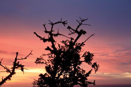 El gran mirador del mediterráneo del Far de Sant Sebastià.