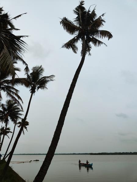 Pescadores en los 'backwaters' de Kerala