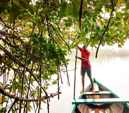 Munroe Island, una de las sorpresas que deparara el viaje a Kerala