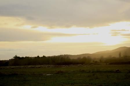 El atardecer de los rebaños en Palafrugell.