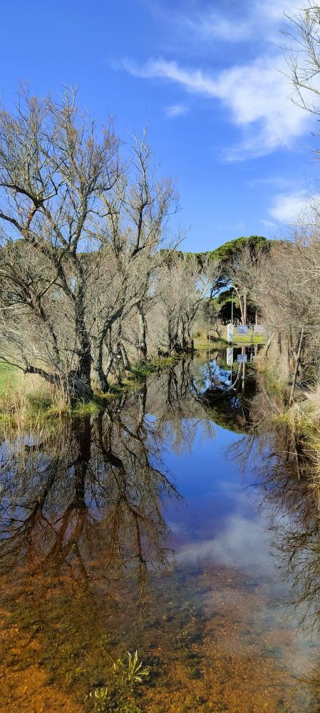 L'Estartit en calma después de los temporales.