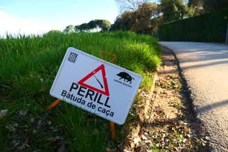 Caza del jabalí en Vilobí d'Onyar.