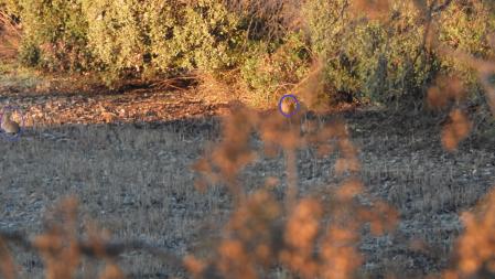 Solución al Reto visual.