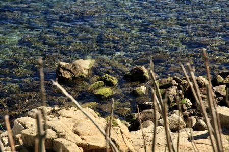 Las 'minves' de febrero, aguas bajas y tranquilas en La Fosca de Palamós.
