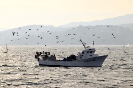 El retorno de los pescadores a puerto en Palamós.