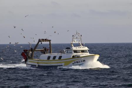 El retorno de los pescadores a puerto en Palamós.