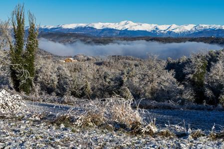 Sant Bartomeu del Grau.