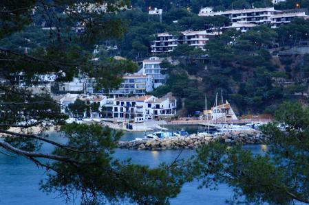 Amanecer en Llafranc visto desde la arboleda.