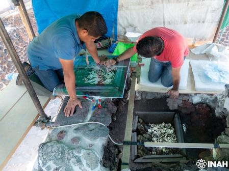Los arqueólogos, durante el registro de materiales de la Ofrenda 186