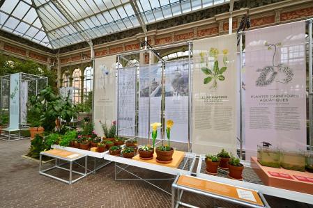 La exposición es la primera que ha preparado el Museu de Ciències Naturals de Barcelona en el Hivernacle