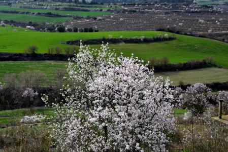 El lucido paisaje de Rubinat.