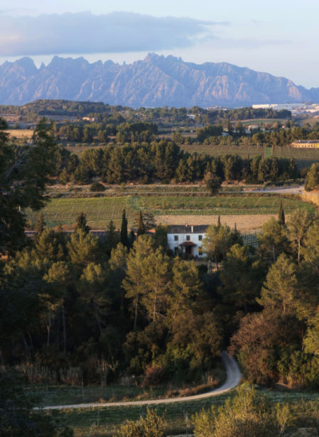 Montserrat desde los alrededores de Sant Sadurní d'Anoia.