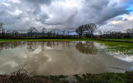 Los humedales efímeros de Vic.