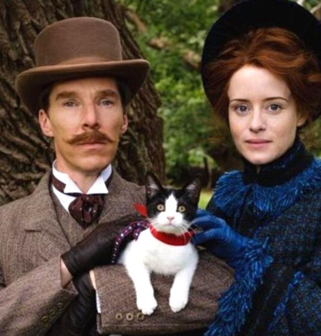 Benedict Cumberbatch y la obsesión por los gatos en la Inglaterra victoriana