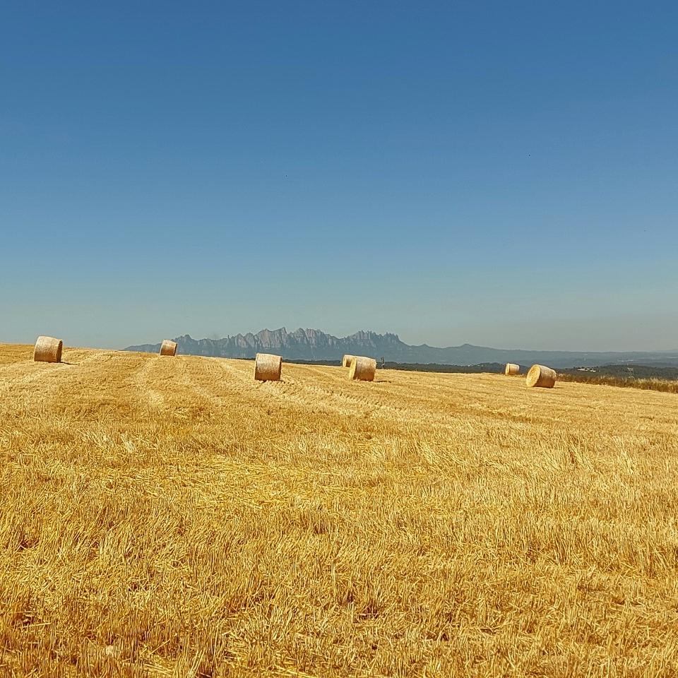El monte de oro con vistas a Montserrat