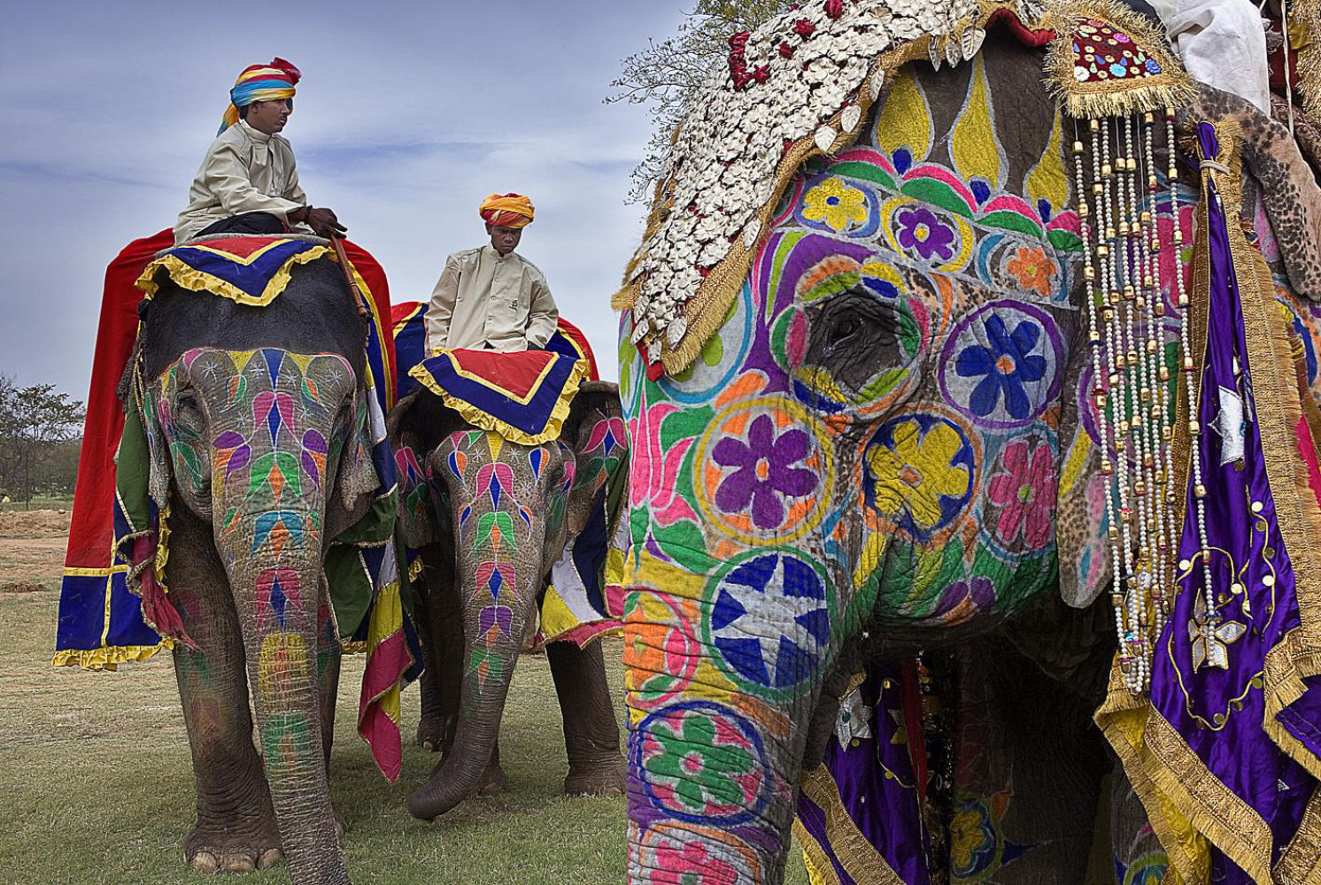 Elefantes ornamentados de gala durante una boda en Jaipur