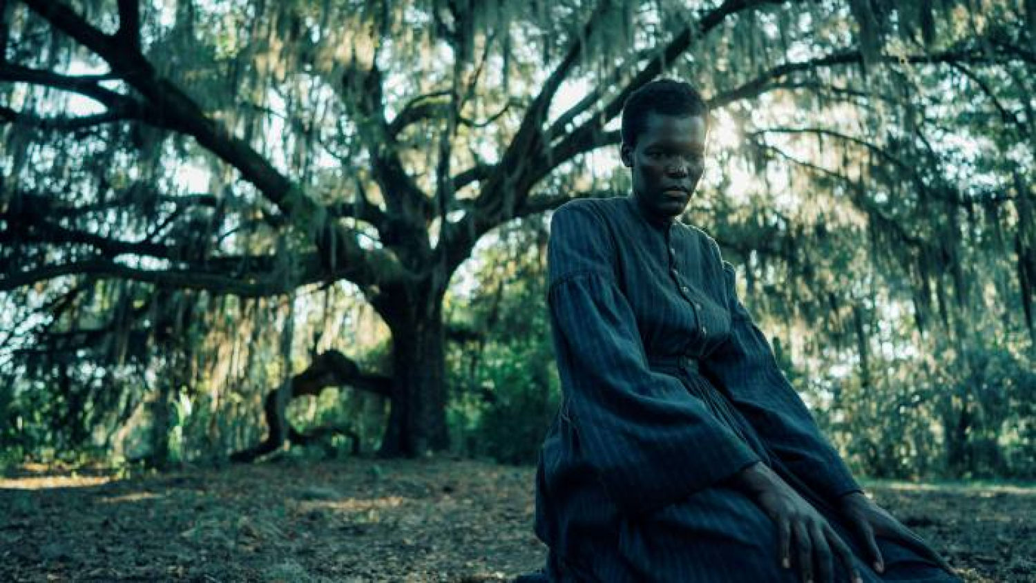 El trabajo de fotografía es sobresaliente.